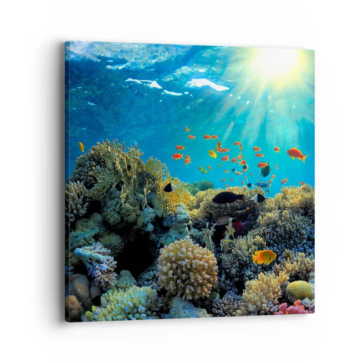 Quadro su tela - Stampe su Tela - Tesori sotto al mare - 40x40 cm