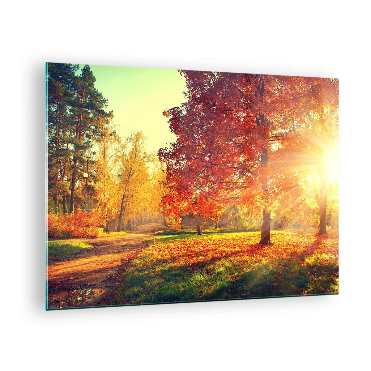 Quadro su vetro - Vicolo autunnale con raggi di sole - 70x50cm - Rosso è bello - Decorazione murale moderna per soggiorno e camera da letto ARTTOR