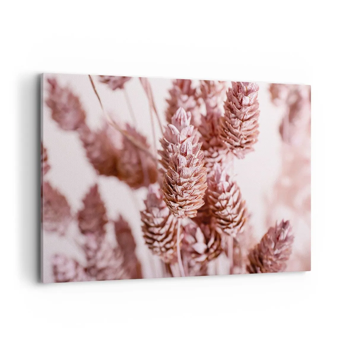 Quadro su tela - Stampe su Tela - Un primo piano delle delicate spighe rosa delle erbe ornamentali - 100x70cm - A prima vista poco appariscenti - Decorazione murale moderna per soggiorno e camera da letto ARTTOR