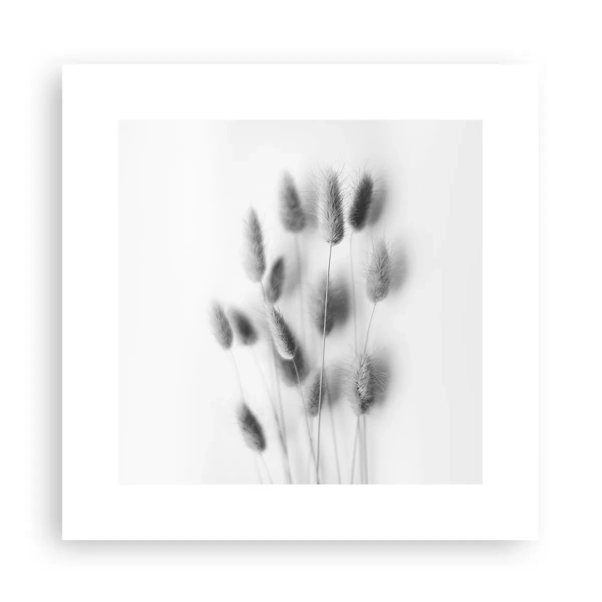 Poster - Erba soffice - 30x30 cm