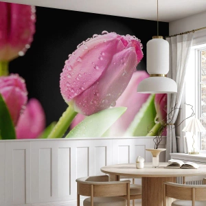 Fotomurale su misura Adesiva Deluxe Sticker - Sogno lilla nella rugiada - Fiori, Tulipani, Mazzo di fiori