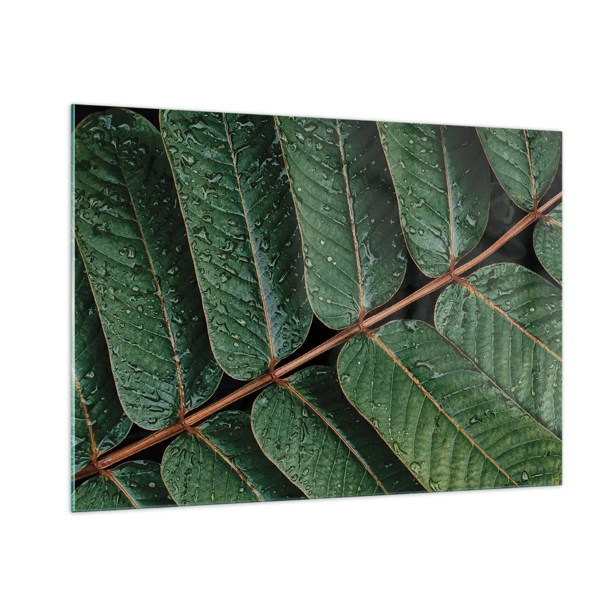 Quadro su vetro - Primo piano di foglie verdi con gocce d'acqua - 100x70cm - Al ritmo verde - Decorazione murale moderna per soggiorno e camera da letto ARTTOR