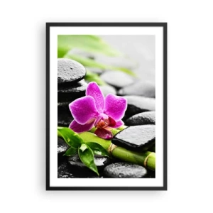 Poster in cornice nera - Orchidea viola su pietre bagnate e foglie verdi - 50x70cm - Un tranquillo equilibrio - Decorazione murale moderna per soggiorno e camera da letto ARTTOR