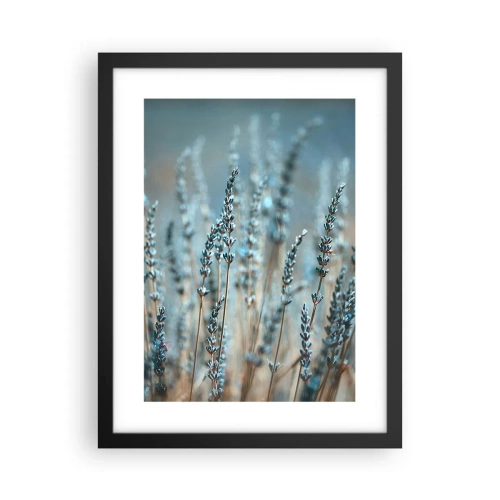 Poster in cornice nera - Campo profumato - 30x40 cm