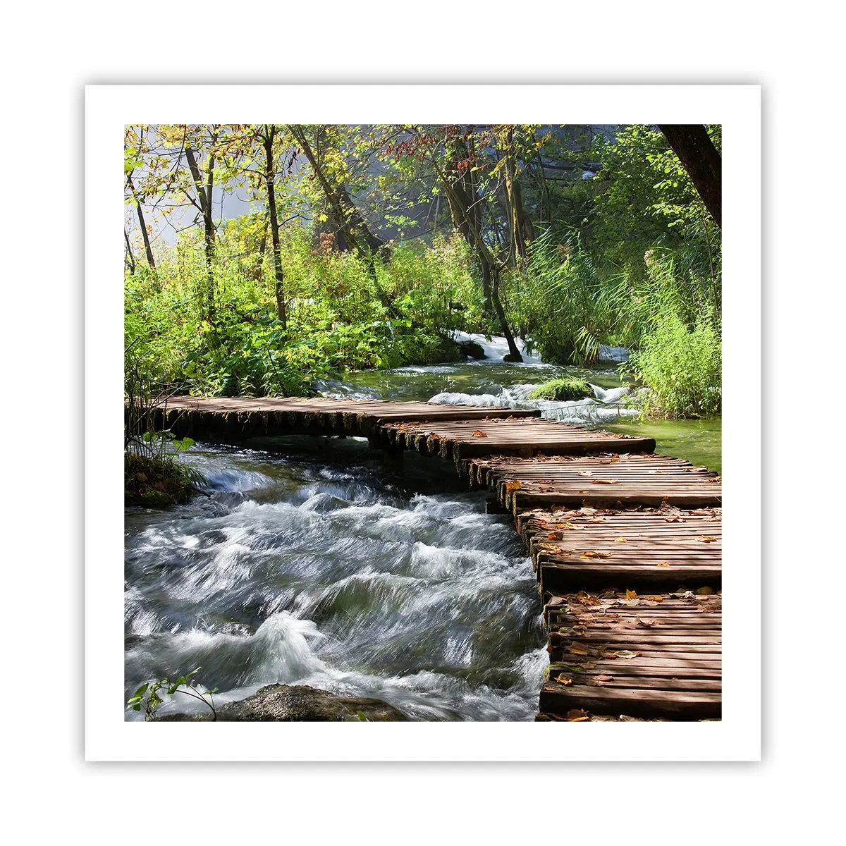 Poster - Sulla cascata spumeggiante - 60x60 cm