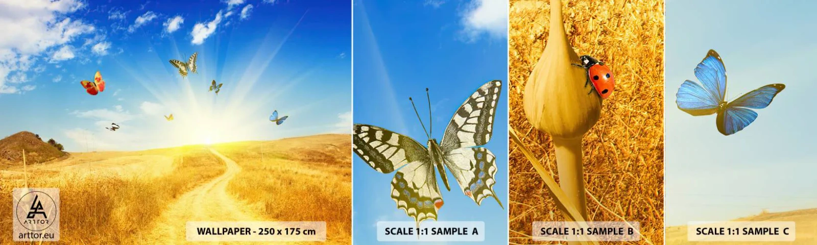 Campione Di Fotomurale Standard Eco - Come non amare l'estate? - Paesaggio, Farfalle, Natura - 100x30 cm