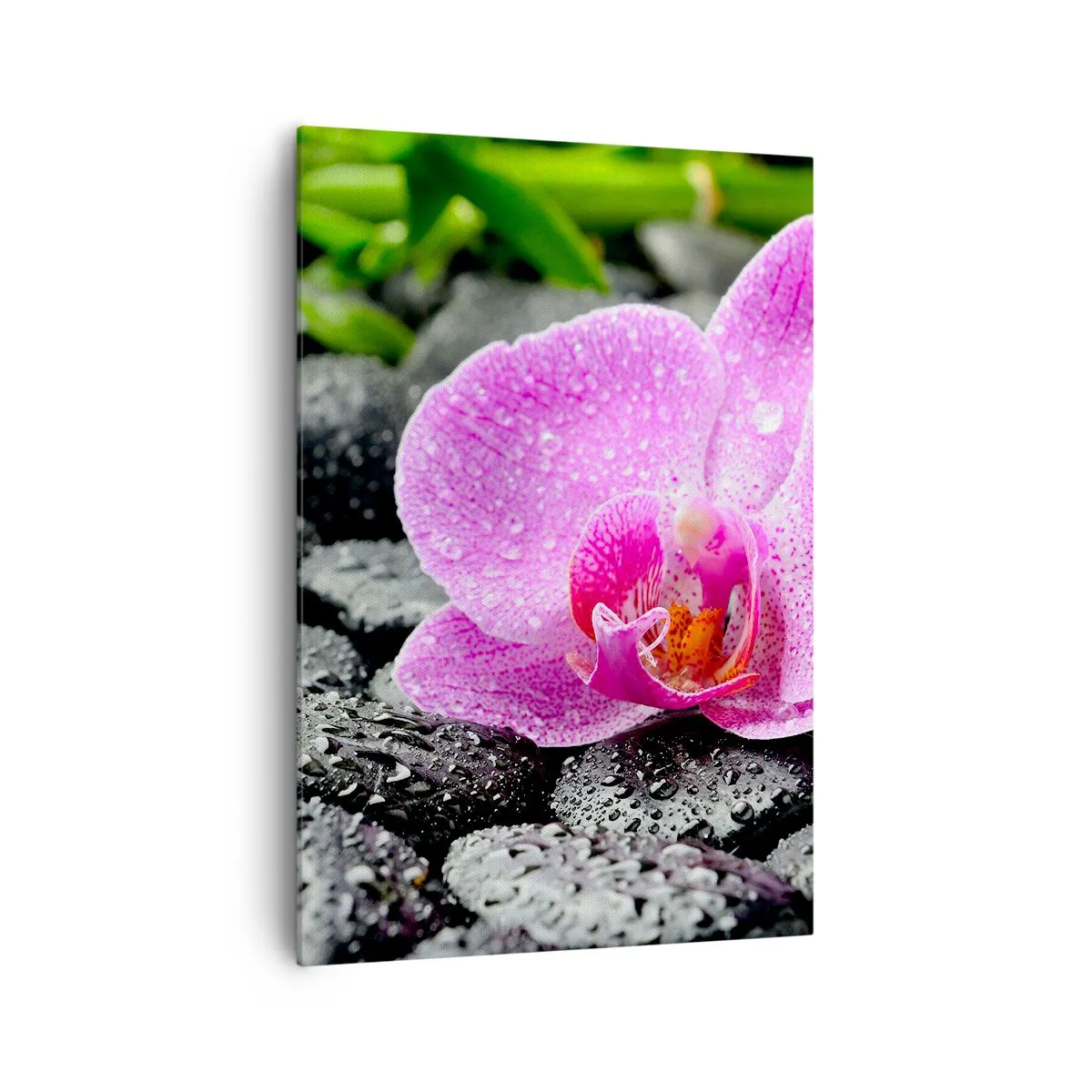 Quadro su tela - Stampe su Tela - Orchidea rosa su pietre nere bagnate con foglie verdi - 70x100cm - Come un cuore aperto - Decorazione murale moderna per soggiorno e camera da letto ARTTOR