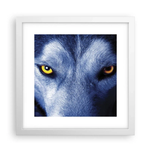 Poster in cornice bianca - Sguardo ipnotico - 30x30 cm