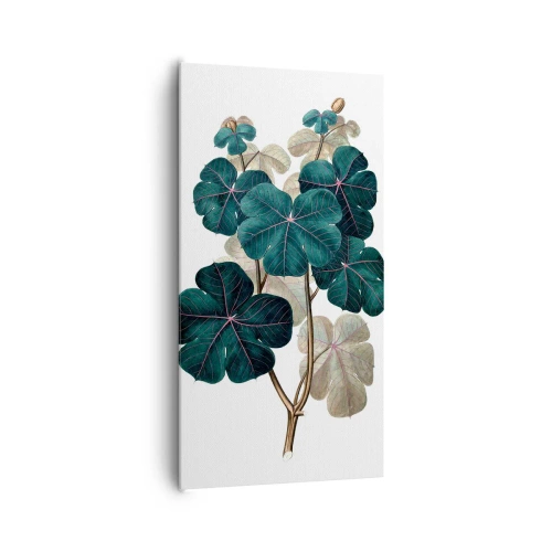 Quadro su tela - Stampe su Tela - Dal vecchio erbario - 65x120 cm