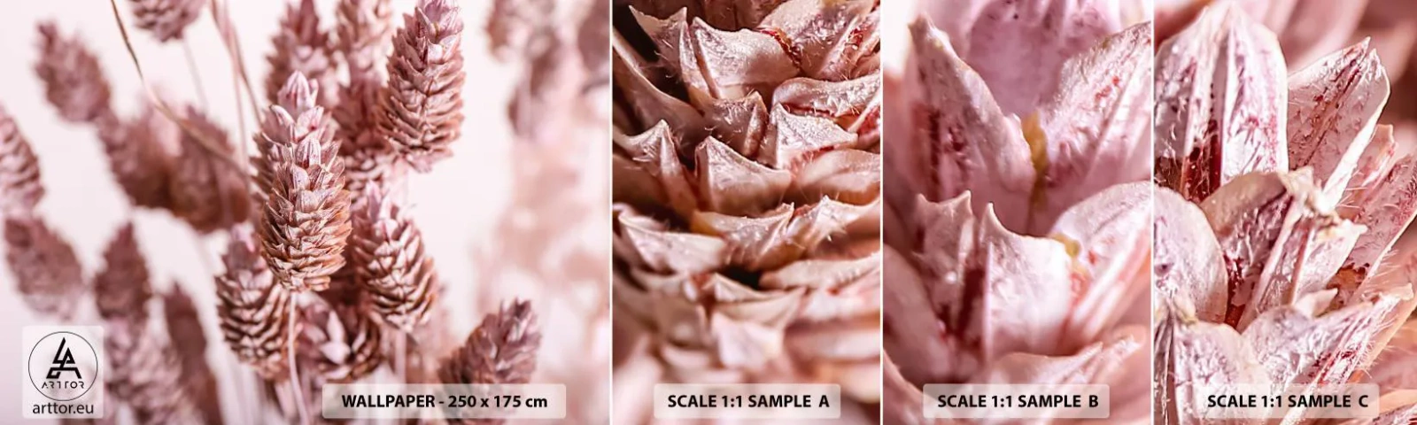 Campione di Fotomurale Adesivo Deluxe Sticker - A prima vista poco appariscenti - Fiore Secco, Fiore, Prato - 100x30 cm