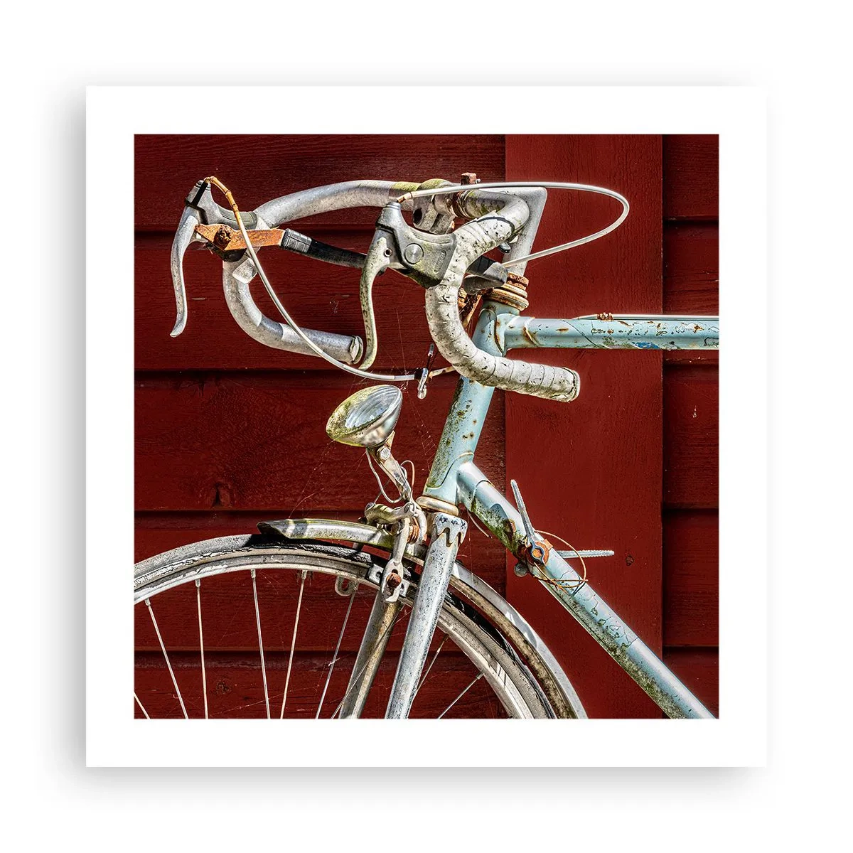 Poster - Creata per la vittoria - 50x50 cm