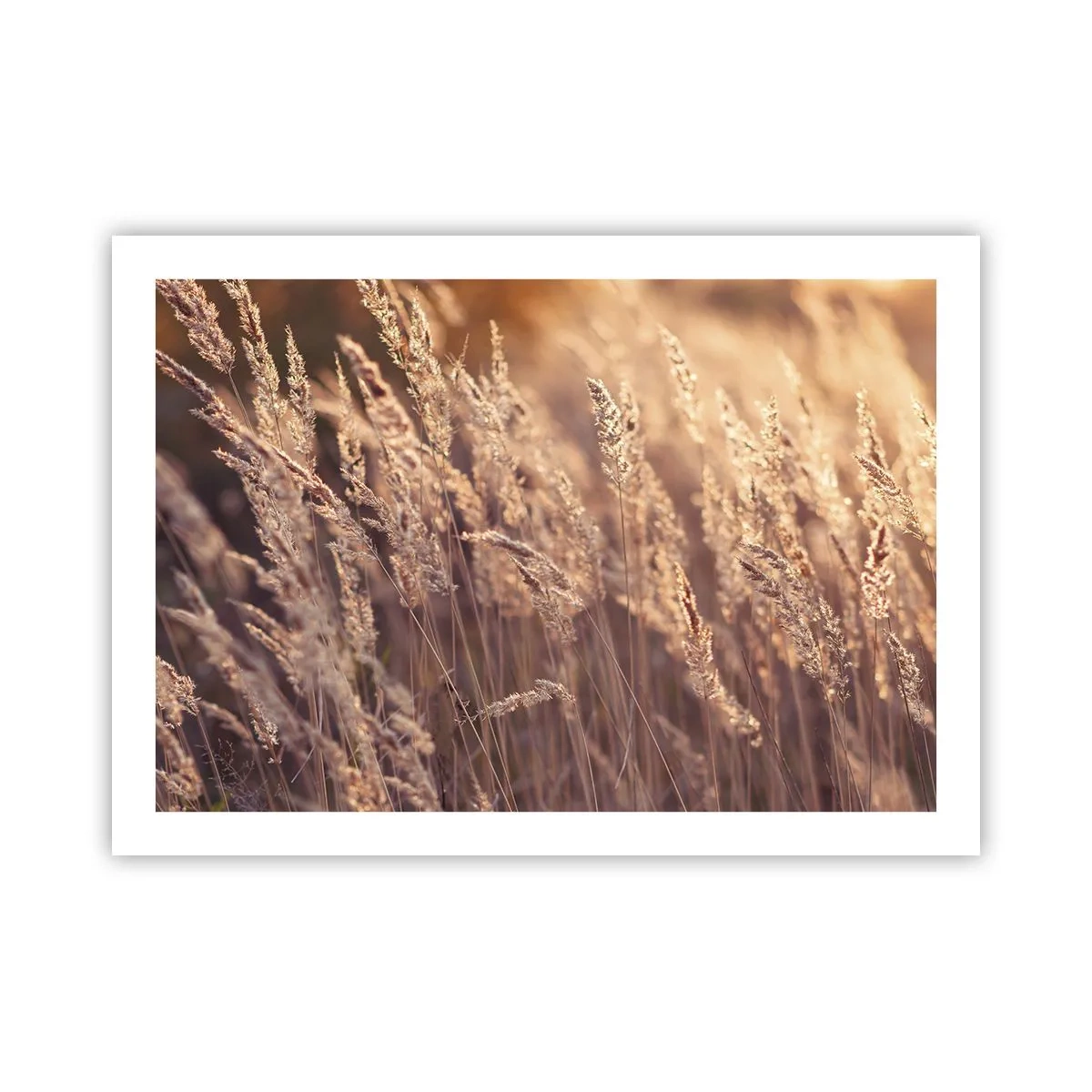 Poster - Pronti a salutare l'autunno - 70x50 cm