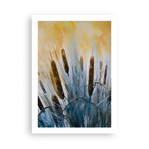 Poster - Una composizione pittorica di canne in luce calda - 50x70cm - Fresco dell'acqua, calore del sole - Decorazione murale moderna per soggiorno e camera da letto ARTTOR