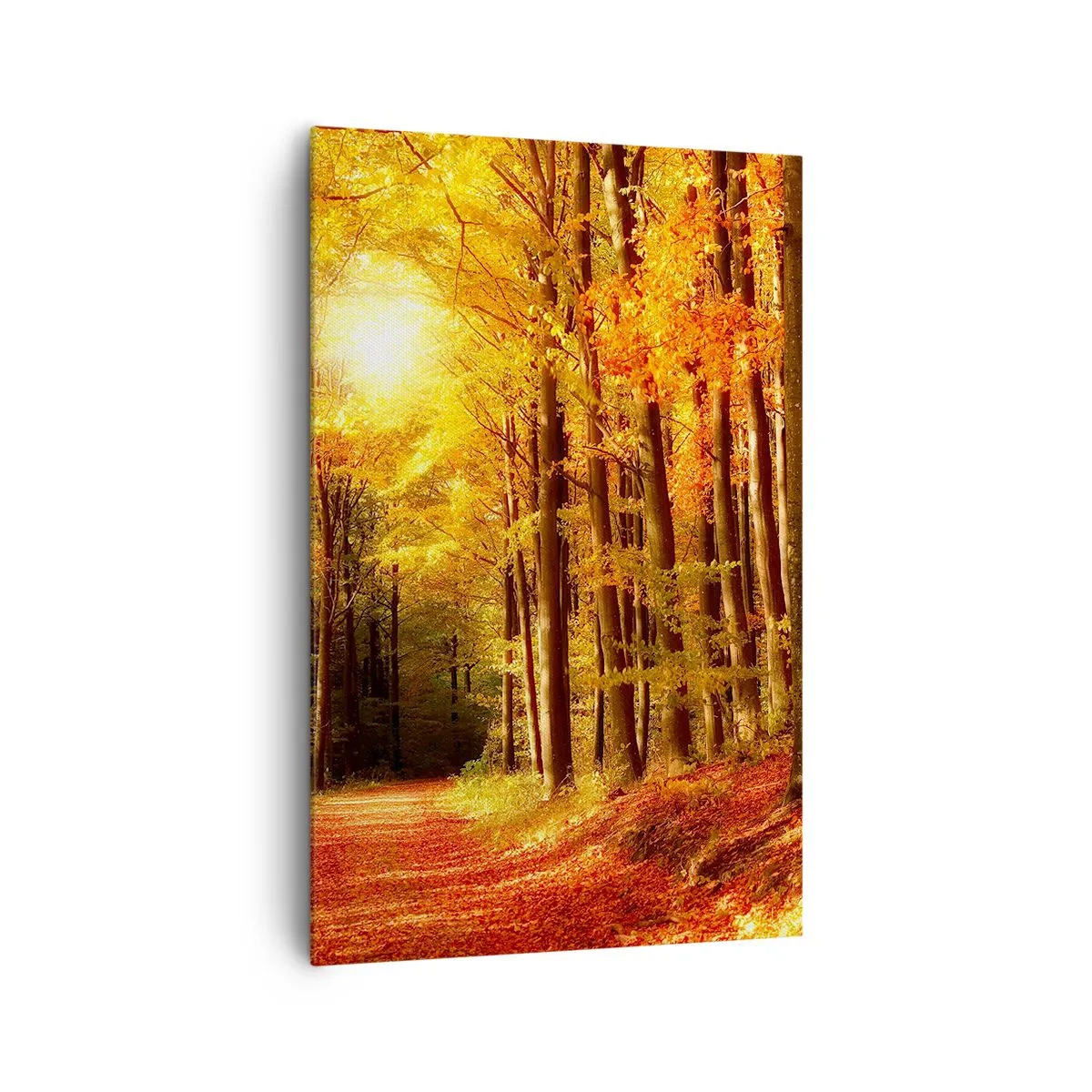 Quadro su tela - Stampe su Tela - Foresta autunnale con raggi di sole che brillano attraverso gli alberi - 80x120cm - Autunno dorato nella via nel bosco - Decorazione murale moderna per soggiorno e camera da letto ARTTOR