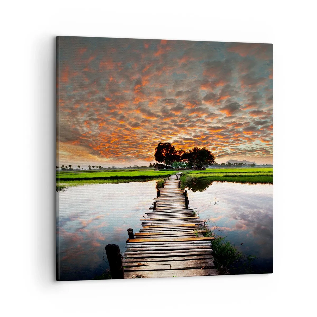 Quadro su tela - Stampe su Tela - Allarga le braccia, respira  - 50x50 cm