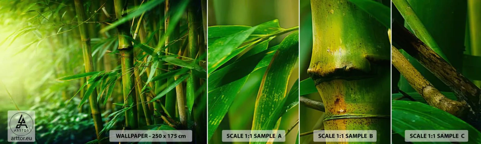 Campione Di Fotomurale Standard Eco - Conoscere il verde in sé - Pianta, Bambù, Giungla - 100x30 cm