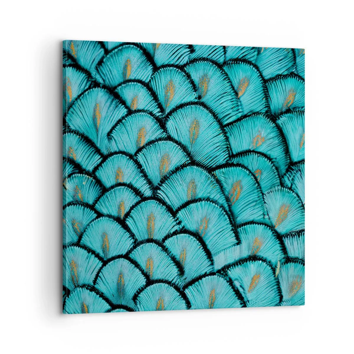 Quadro su tela - Stampe su Tela - La grande festa delle piume - 60x60 cm