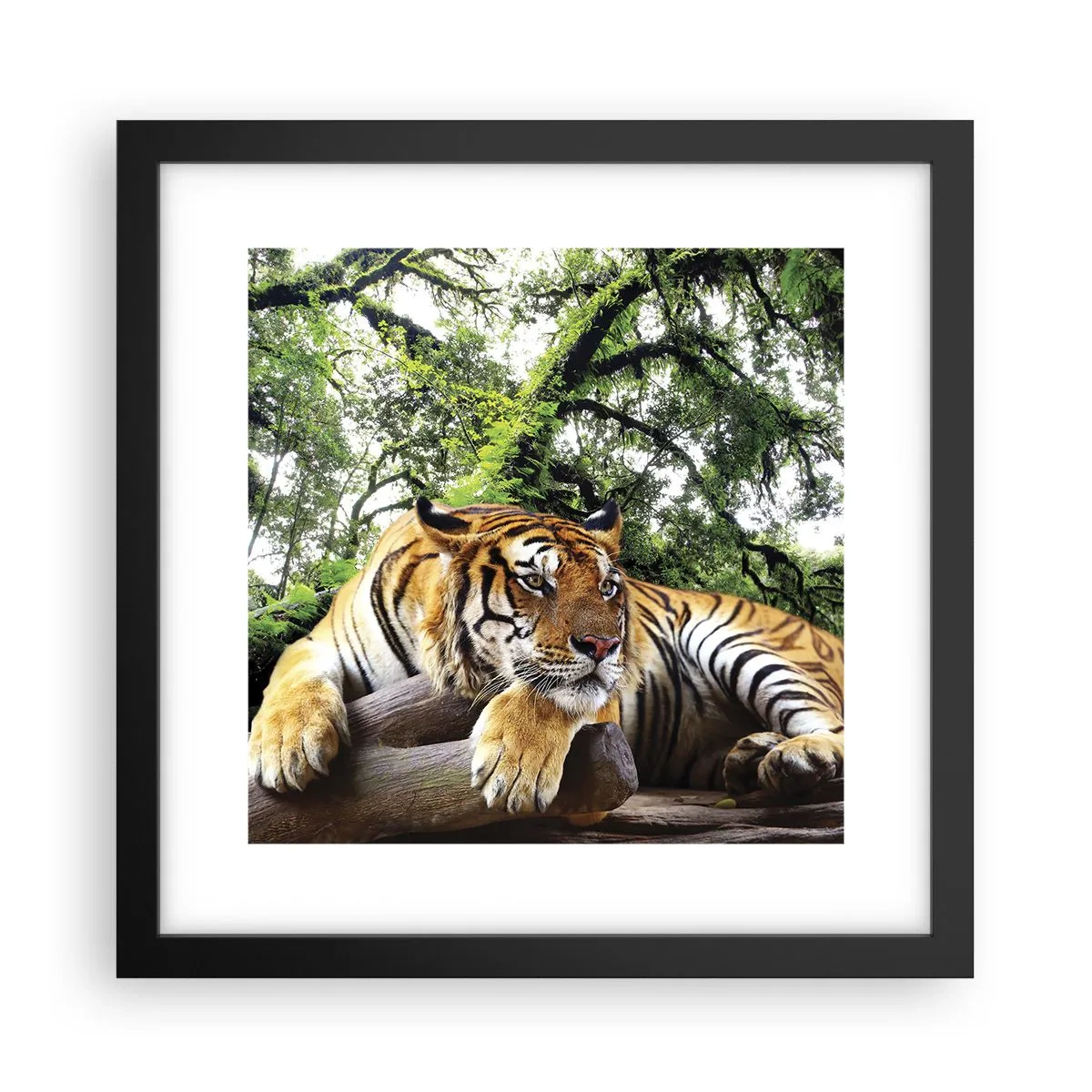 Poster in cornice nera - Con espressioni di stima - 30x30 cm