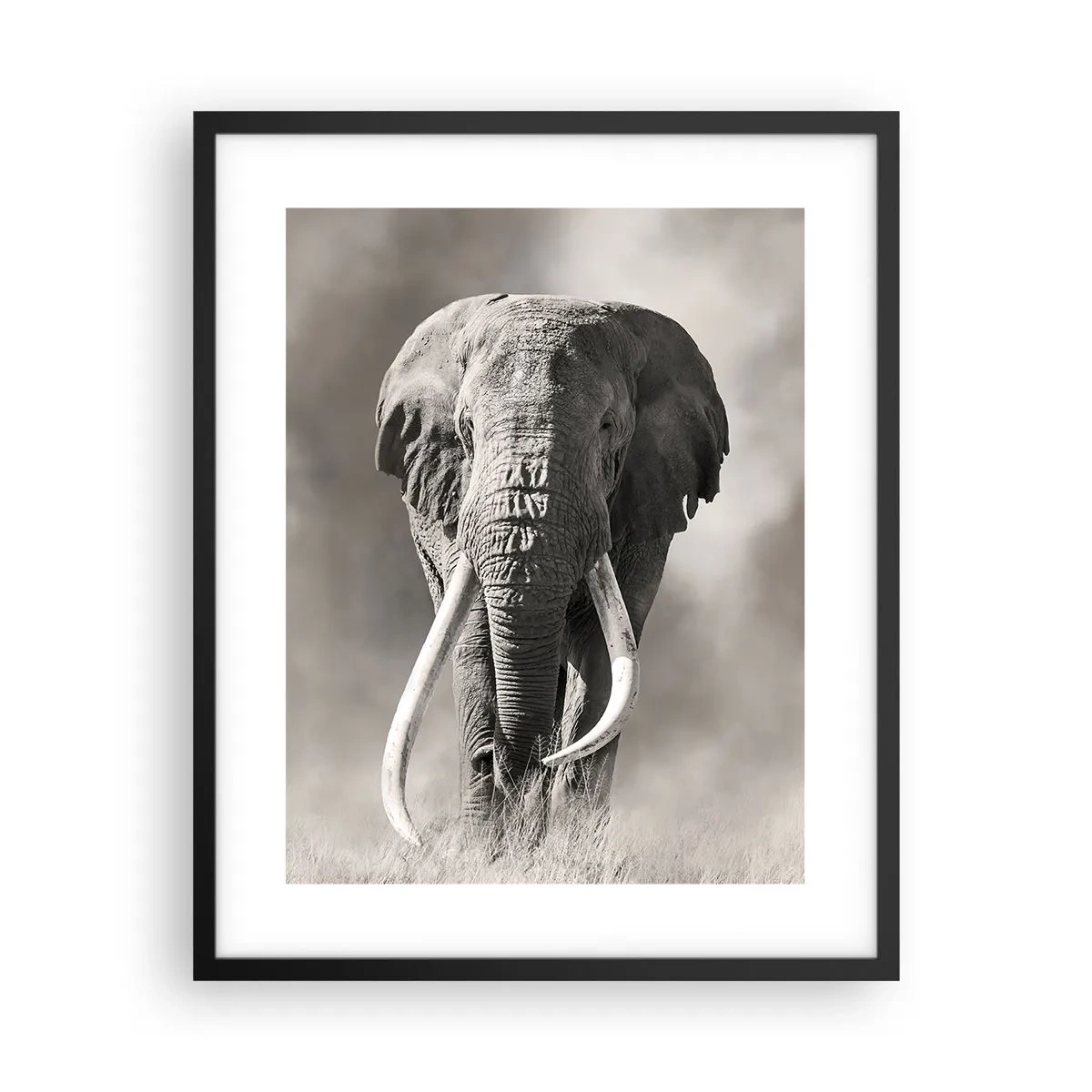 Poster in cornice nera - Patriarca africano - 40x50 cm