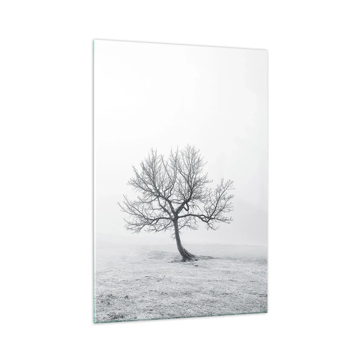 Quadro su vetro - Un albero solitario nella nebbia invernale in un campo vuoto - 70x100cm - Contro il nulla - Decorazione murale moderna per soggiorno e camera da letto ARTTOR