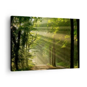 Quadro su tela - Stampe su Tela - Sentiero nel bosco con raggi di sole che brillano attraverso gli alberi - 70x50cm - Un attimo nel bosco - Decorazione murale moderna per soggiorno e camera da letto ARTTOR