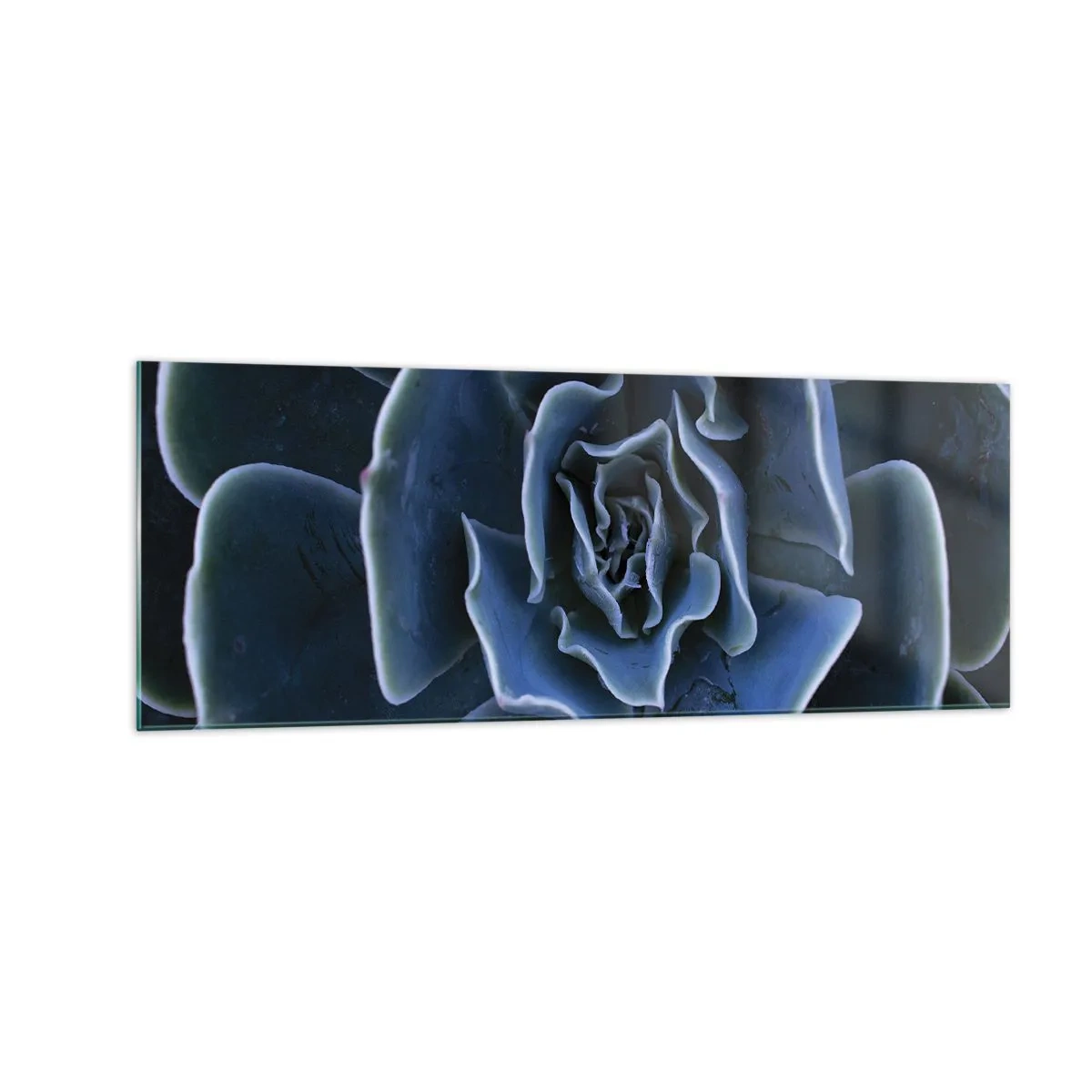 Quadro su vetro - Primo piano di una rosetta succulenta verde - 140x50cm - Fiore del deserto - Decorazione murale moderna per soggiorno e camera da letto ARTTOR