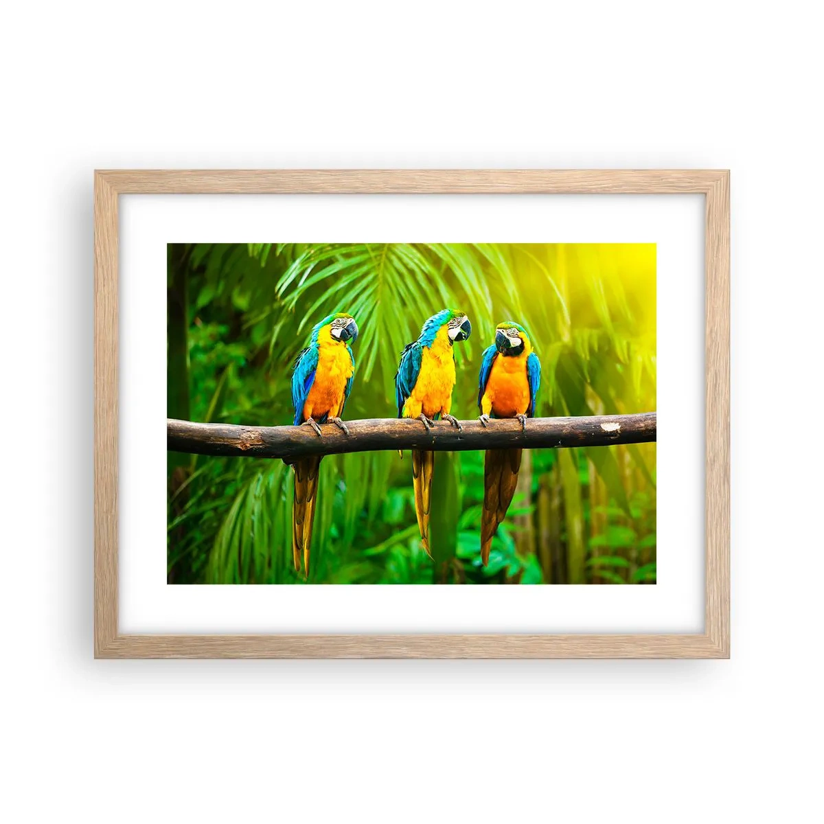 Poster in cornice rovere chiaro - Hai sentito che ha fatto? - 40x30 cm