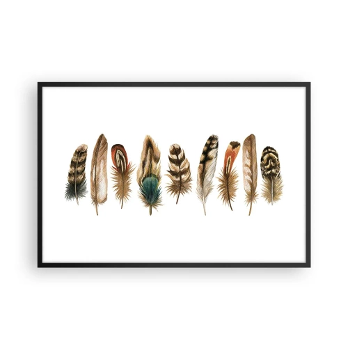Poster in cornice nera - Composizione di piume - 91x61 cm