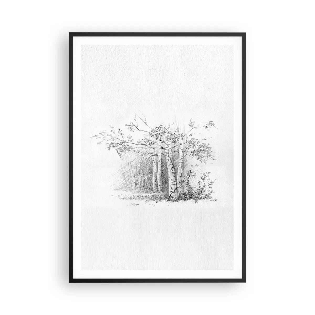 Poster in cornice nera - La luce della foresta di betulle - 70x100 cm