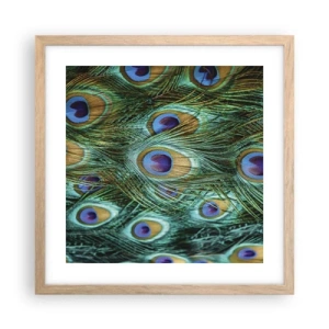Poster in cornice rovere chiaro - Lo sguardo del pavone - 40x40 cm