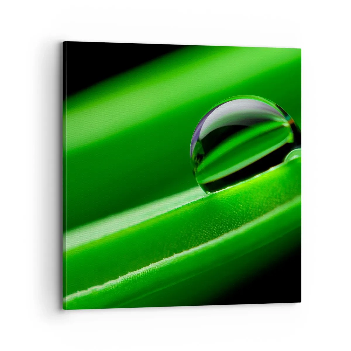Quadro su tela - Stampe su Tela - La vita da vicino - 70x70 cm