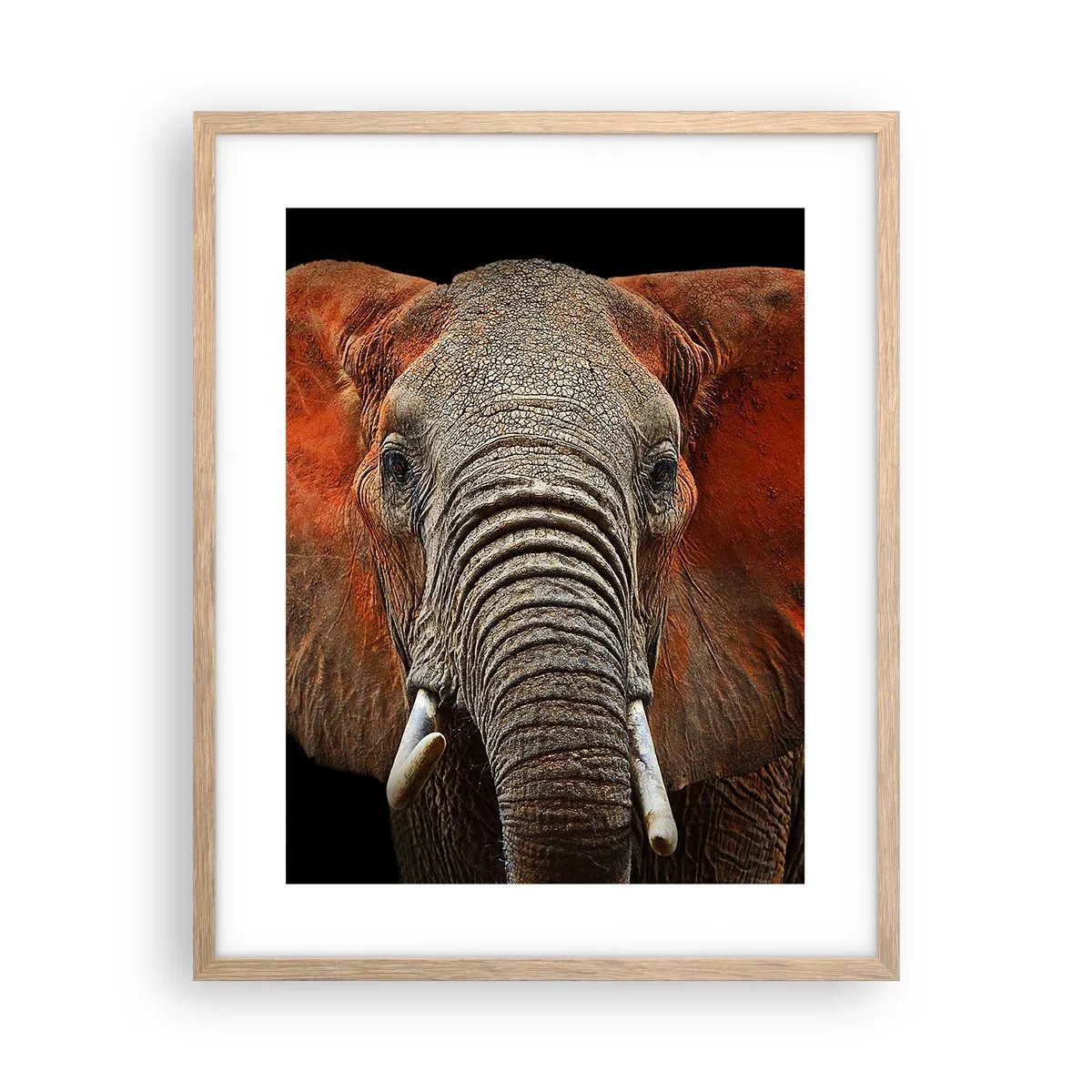 Poster in cornice rovere chiaro - Sono selvaggio e tu? - 40x50 cm