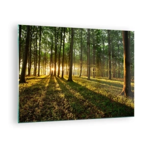 Quadro su vetro - Una radura della foresta illuminata dai raggi del sole nascente - 70x50cm - La foto di ogni primavera - Decorazione murale moderna per soggiorno e camera da letto ARTTOR