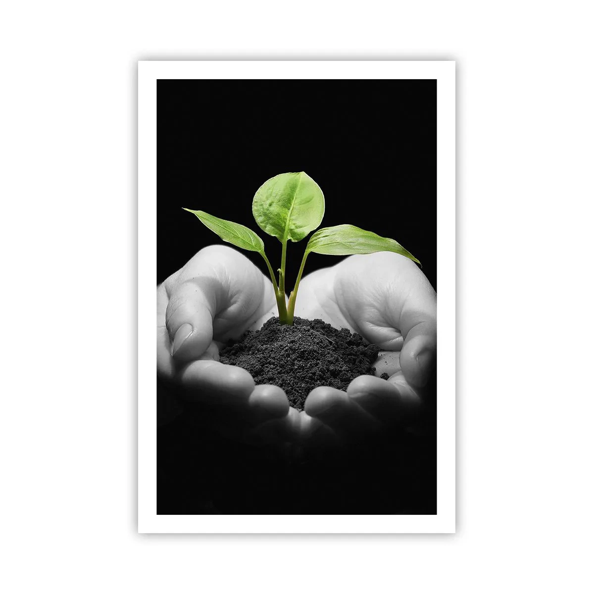 Poster - Amo la natura, la proteggo - 61x91 cm