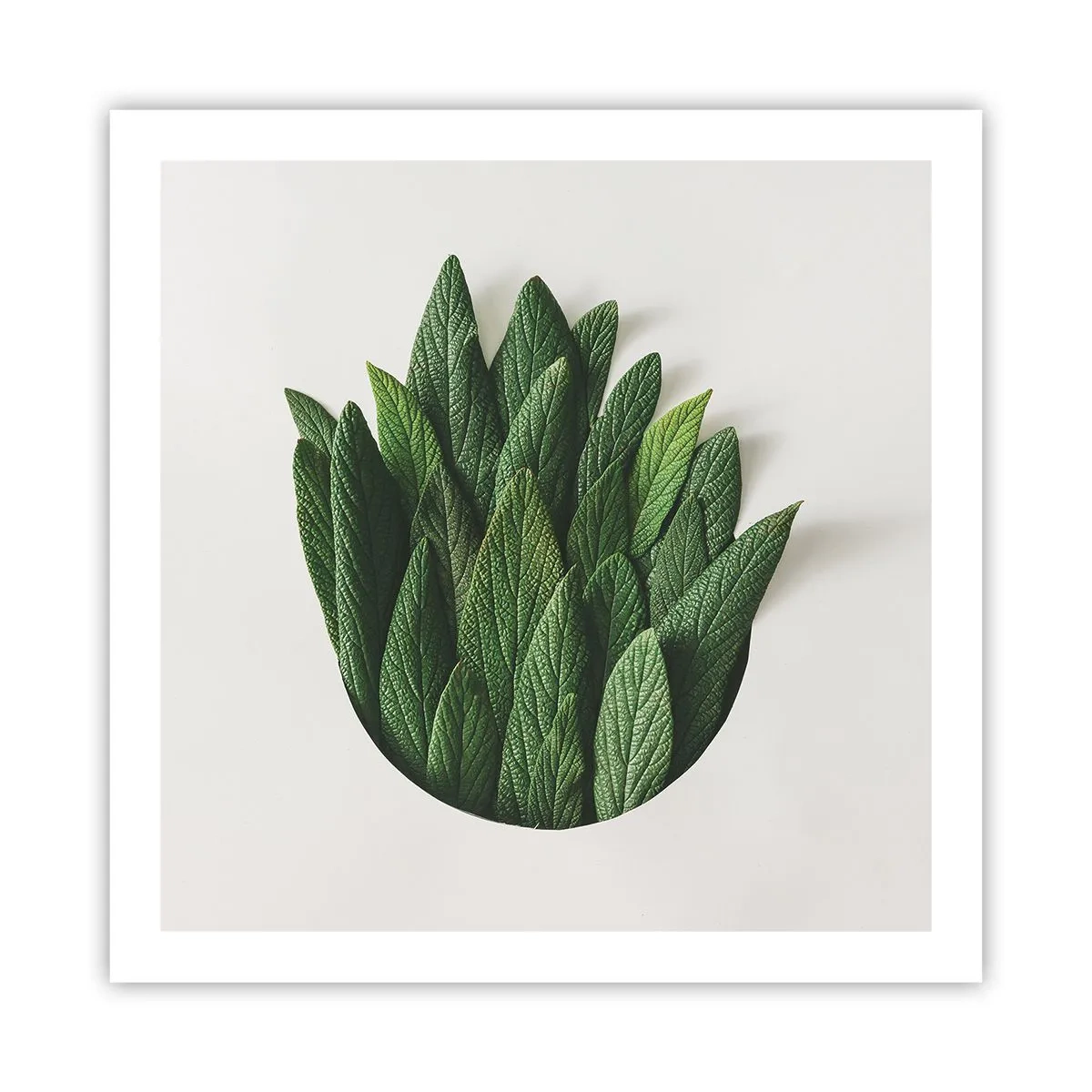 Poster - Curiosità irrefrenabile - 60x60 cm