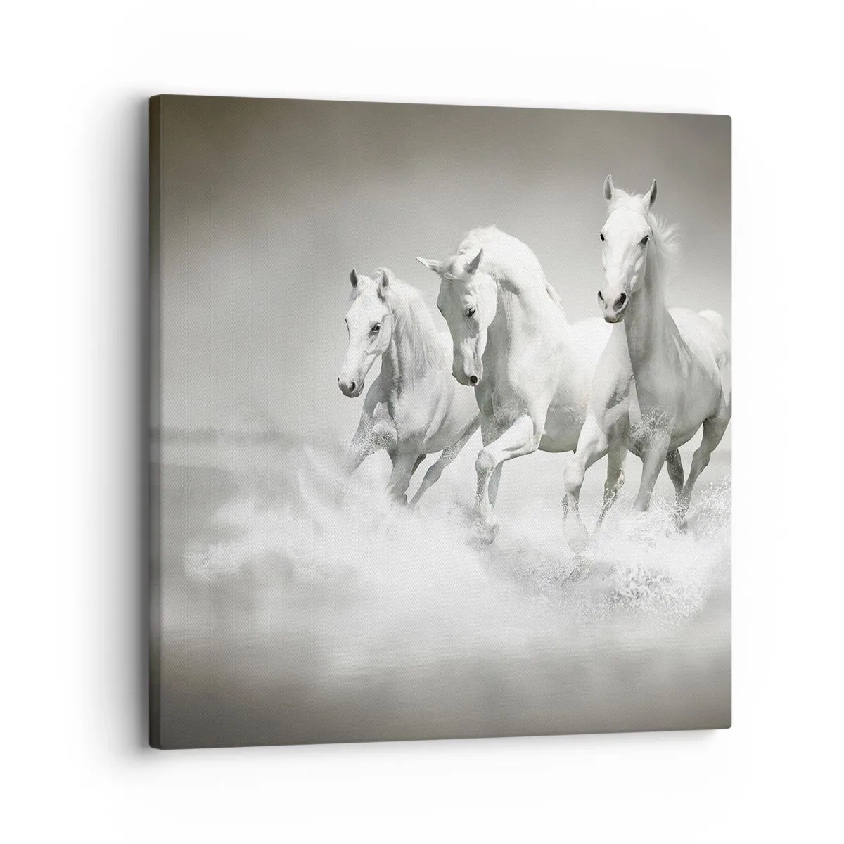 Quadro su tela - Stampe su Tela - Estasi bianca - 30x30 cm