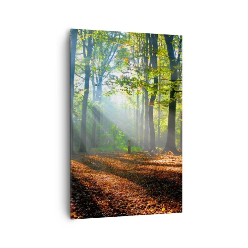 Quadro su tela - Stampe su Tela - Una radura della foresta illuminata dai raggi del sole - 80x120cm - Luci e ombre - Decorazione murale moderna per soggiorno e camera da letto ARTTOR