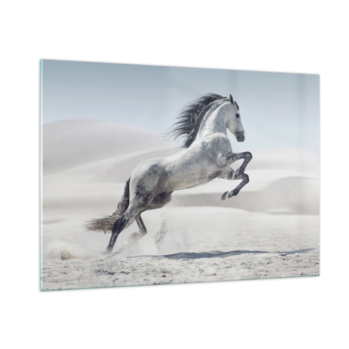 Quadro su vetro - Un cavallo bianco che salta sullo sfondo delle dune del deserto - 100x70cm - Il principe arabo - Decorazione murale moderna per soggiorno e camera da letto ARTTOR