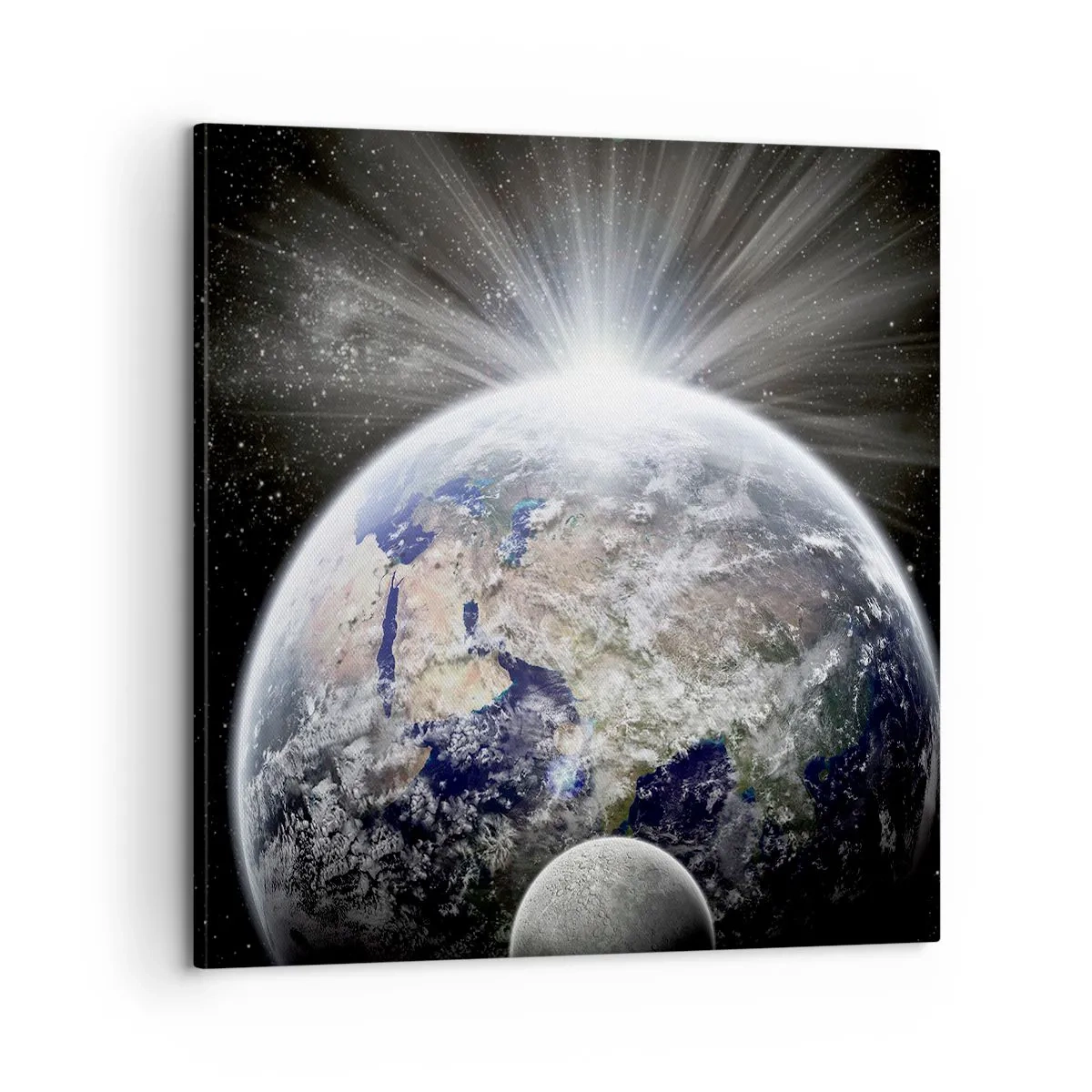 Quadro su tela - Stampe su Tela - In pieno splendore - 60x60 cm