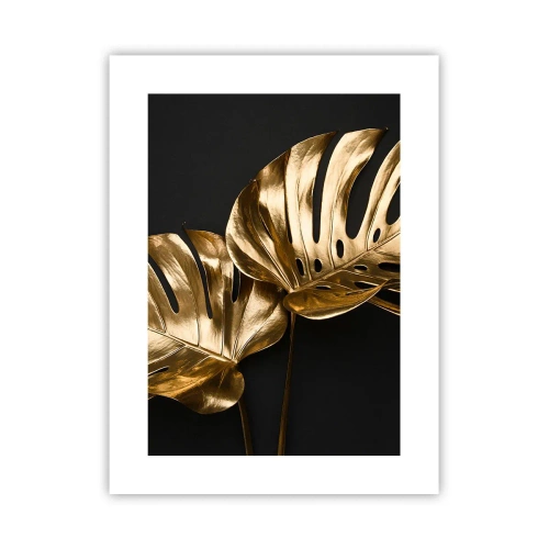 Poster - I tesori della natura - 30x40 cm