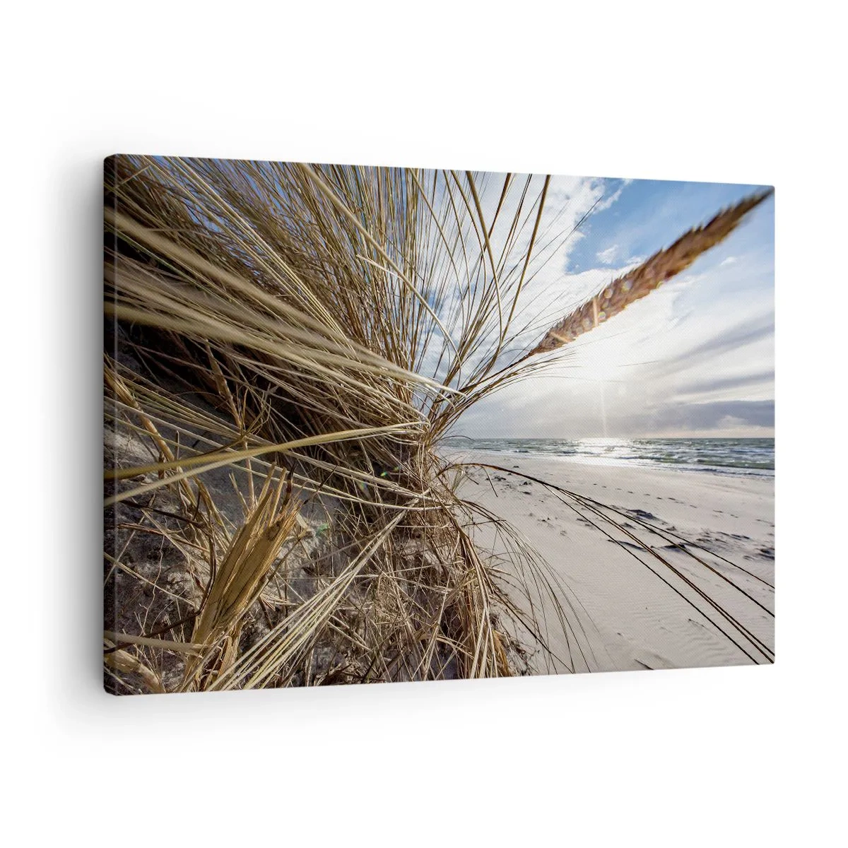 Quadro su tela - Stampe su Tela - Una spiaggia con erba secca sulle dune e vista sul mare - 70x50cm - L'incontro degli elementi - Decorazione murale moderna per soggiorno e camera da letto ARTTOR