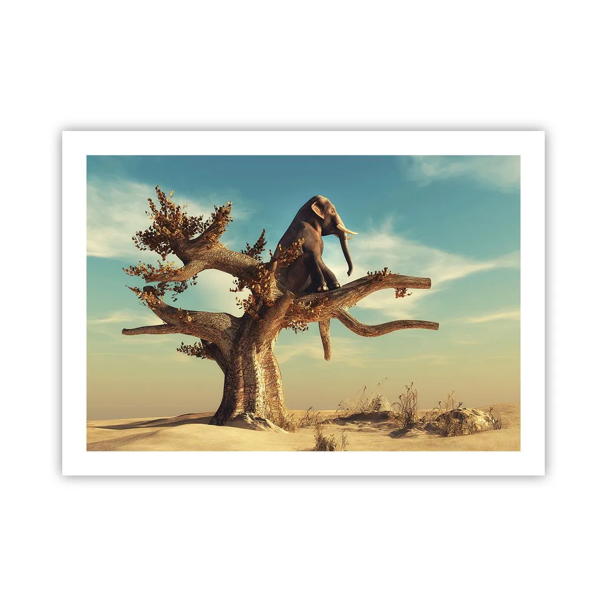 Poster - Nuovo punto di vista - 70x50 cm