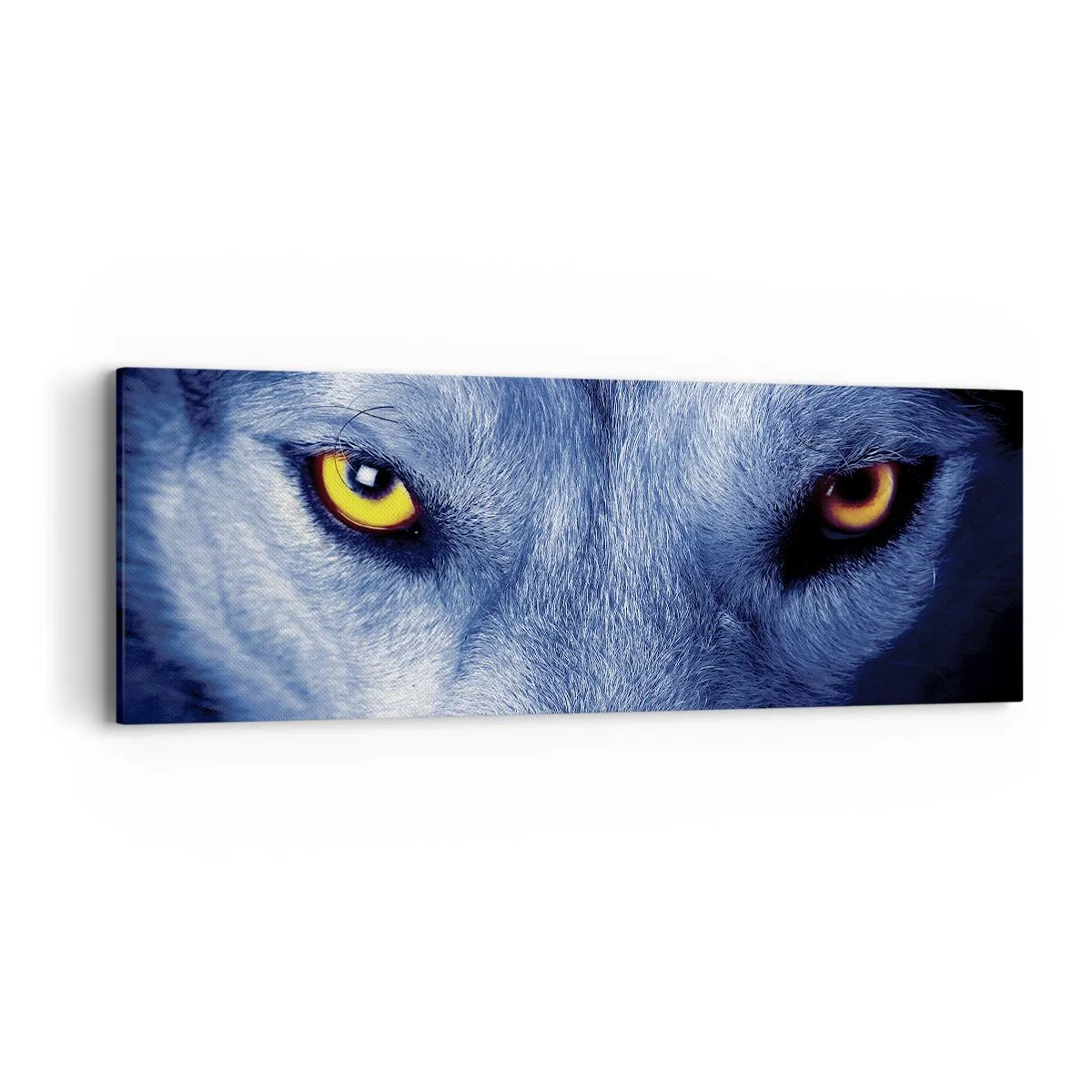 Quadro su tela - Stampe su Tela - Sguardo ipnotico - 90x30 cm