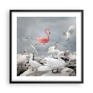 Poster in cornice nera - Come sono arrivato qui? - 50x50 cm