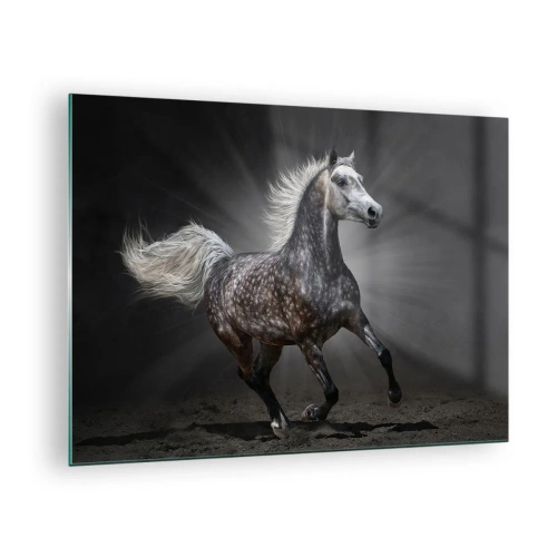 Quadro su vetro - Un cavallo al galoppo su uno sfondo scuro con effetto luminoso. - 70x50cm - Grigio è bello - Decorazione murale moderna per soggiorno e camera da letto ARTTOR