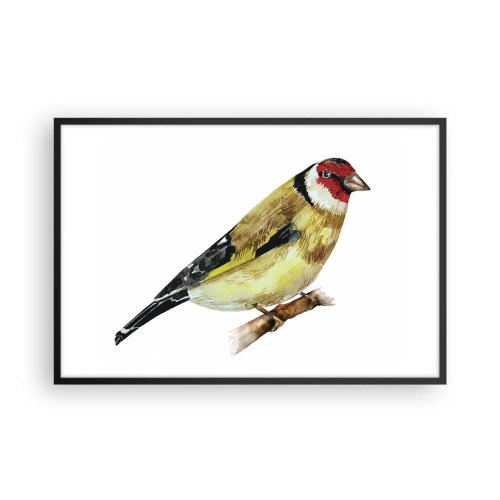 Poster in cornice nera - Ritratto di uccello - 91x61 cm