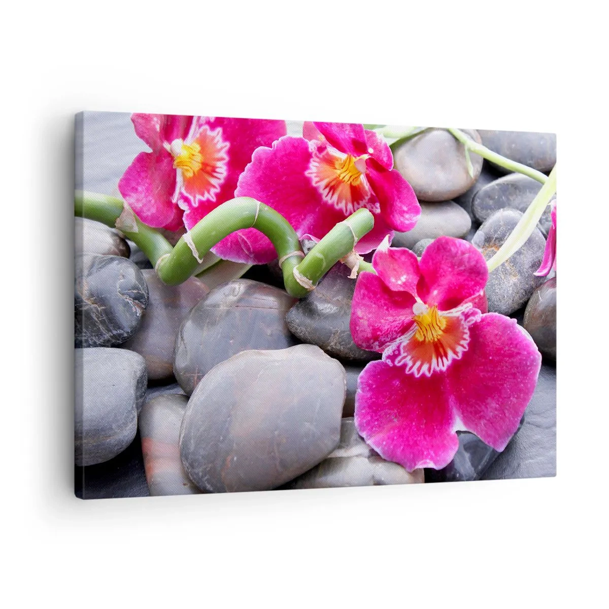 Quadro su tela - Stampe su Tela - Orchidee rosa su uno sfondo di pietre lisce - 70x50cm - Fresco e calore - Decorazione murale moderna per soggiorno e camera da letto ARTTOR