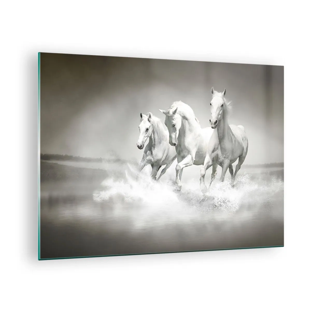 Quadro su vetro - Tre cavalli bianchi che galoppano nell'acqua - 70x50cm - Estasi bianca - Decorazione murale moderna per soggiorno e camera da letto ARTTOR