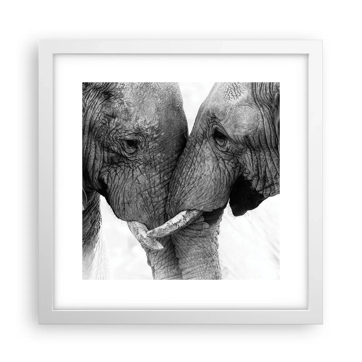 Poster in cornice bianca - Dichiarazione sincera - 30x30 cm