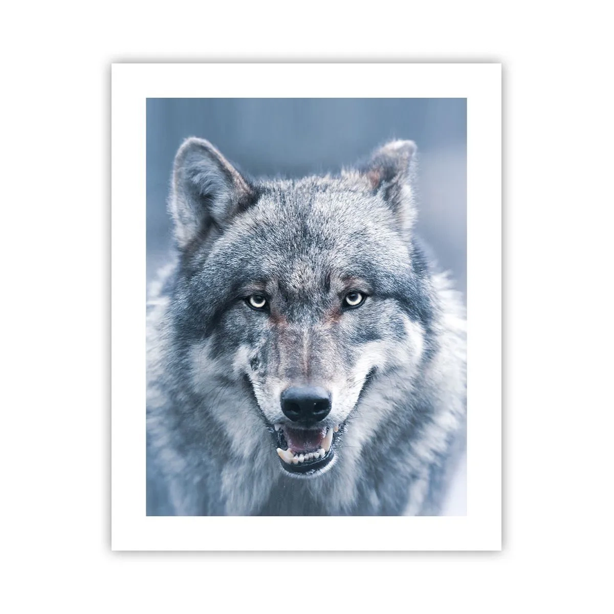 Poster - Accetti la sfida? - 40x50 cm